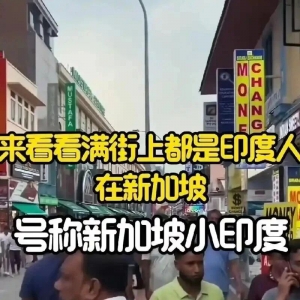 红色主播：新加坡外长当面硬刚：印度比中国更有归属感！中国彻底输了？ ...