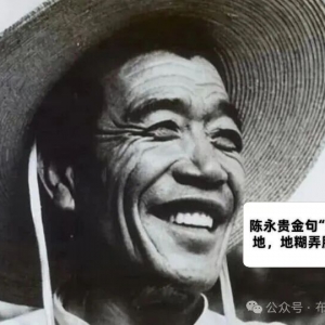 司马建国 | 学大寨精神，不学大寨模式：从一场农业争论看清战略与战术的分层 ...