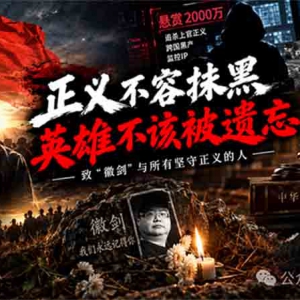 子珩墨 | 吹哨人倒在荒山，凶手却获死缓：这样的结果该如何理解？ ...