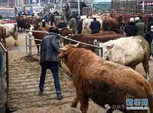 吴铭 | 为什么反对离岸资金回国